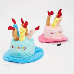 Birthday Hat