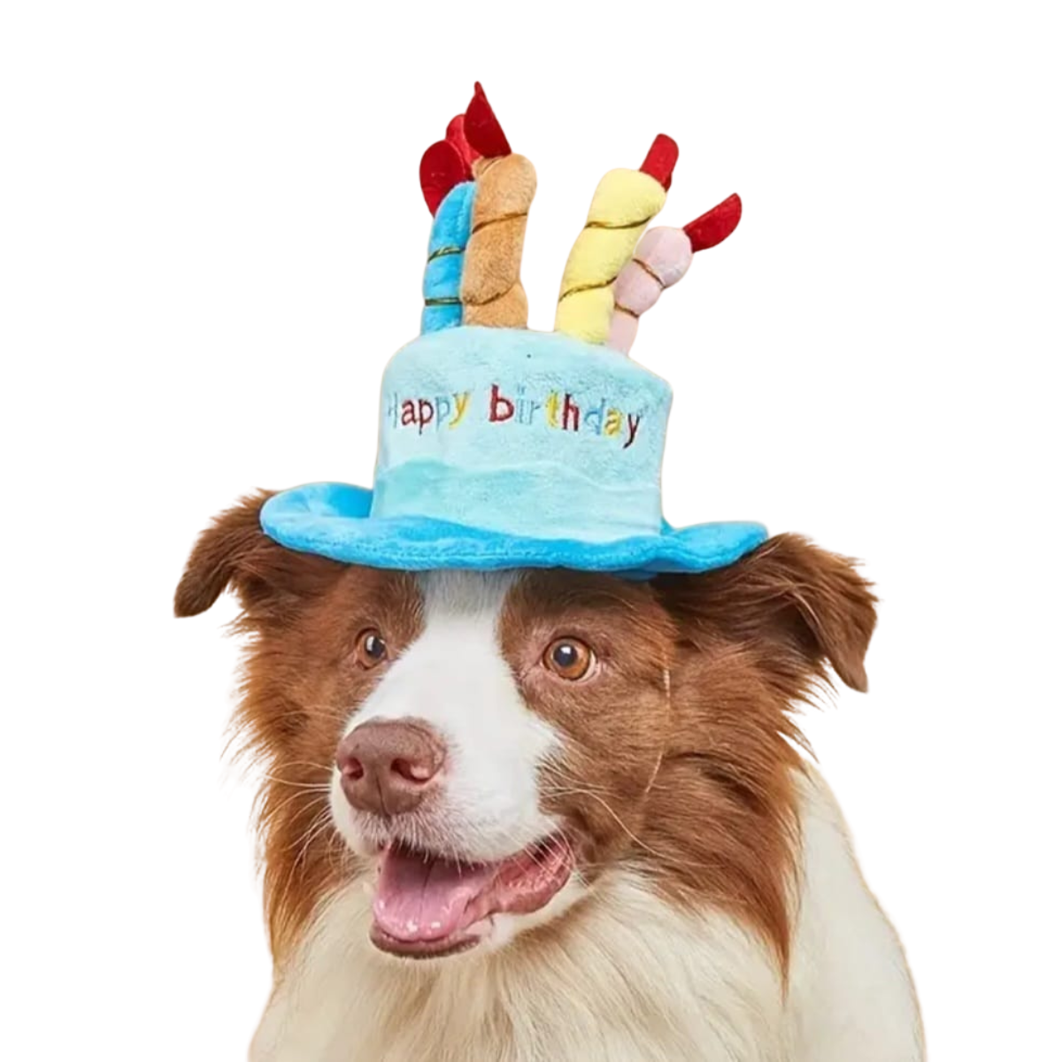 Birthday Hat - Image 3